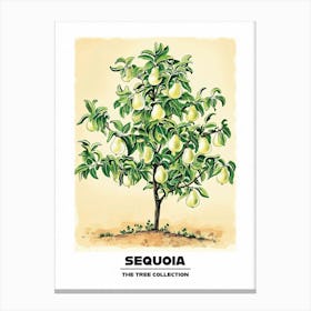 Sequoia Tree Storybook Illustration 3 Poster Canvas Print
