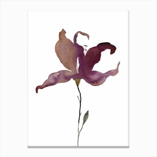 Lily 3 Canvas Print