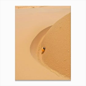 Bee In The Sand Canvas Print