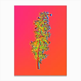 Neon Kraal Honey Thorn Botanical in Hot Pink and Electric Blue n.0259 Canvas Print