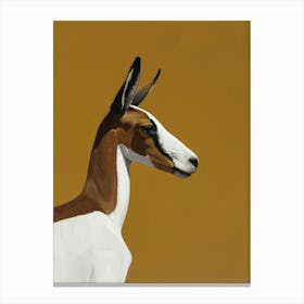 Antelope 11 Canvas Print