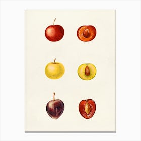 Watercolor Fruit Print Canvas Print