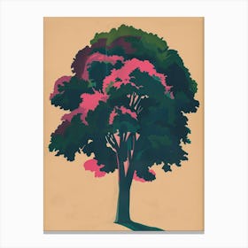 Boxwood Tree Colourful Illustration 3 1 Canvas Print