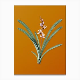 Vintage Boat Orchid Botanical on Sunset Orange n.0081 Canvas Print