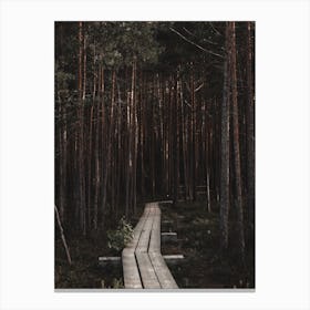 Wooden Hiking Path Canvas Print