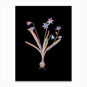 Stained Glass Scilla Amoena Mosaic Botanical Illustration on Black n.0059 Canvas Print