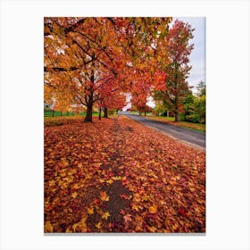 Autum Street Canvas Print