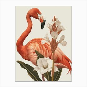 American Flamingo And Canna Lily Minimalist Illustration 3 Canvas Print