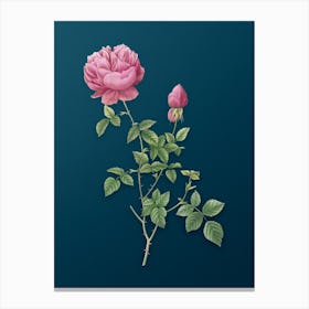 Vintage Pink Autumn China Rose Botanical Art on Teal Blue n.0075 Canvas Print
