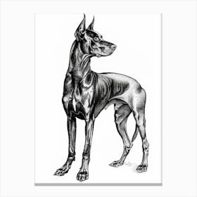 German Pinscher Dog Line Art 2 Canvas Print