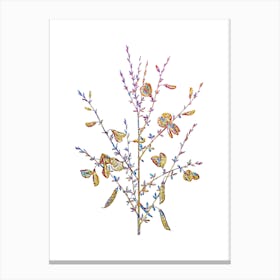 Stained Glass Yellow Broom Flowers Mosaic Botanical Illustration on White n.0187 Canvas Print