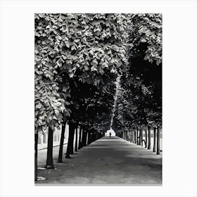 Pathway Through the Trees in Paris. This image depicts a serene, tree-lined pathway with dense foliage overhead, creating a tunnel-like effect. The pathway is flanked by tall trees on both sides, leading to a distant, solitary figure walking towards the horizon. The monochromatic color scheme adds a timeless, contemplative atmosphere to the scene. Canvas Print