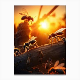 Ant Colony Collaboratively Foraging Under The Glowing Blaze Of A Setting Sun With Elongated Shadows (1) Canvas Print