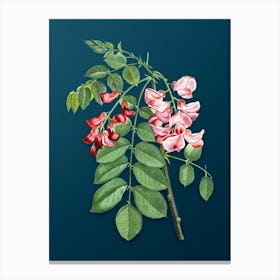 Vintage Robinier Rose Bloom Botanical Art on Teal Blue Canvas Print