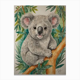 Koala 25 Canvas Print