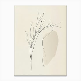 Branch Of Twigs Canvas Print