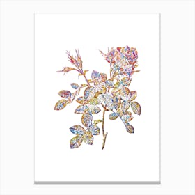 Stained Glass Dwarf Damask Rose Mosaic Botanical Illustration on White n.0218 Canvas Print