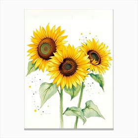 Sunflowers 5 Canvas Print