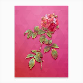 Vintage Seven Sisters Roses Botanical Art on Beetroot Purple n.0348 Canvas Print