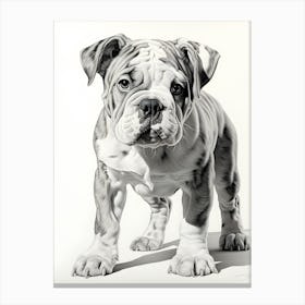 Paws And Playtime Canvas Print