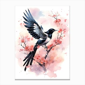 Magpie bird Canvas Print