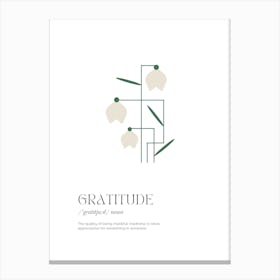 Gratitude Definition Canvas Print