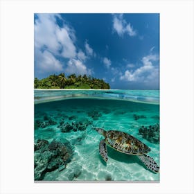 Turtle In The Maldives Canvas Print