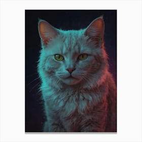 Cat In The Dark 6 Canvas Print