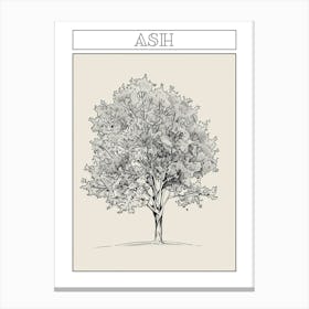 Ash Tree Minimalistic Drawing 2 Poster Canvas Print