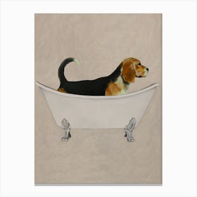Beagle In Bathtub Canvas Print