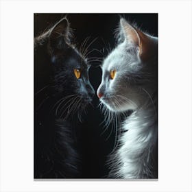 Black And White Cats Canvas Print