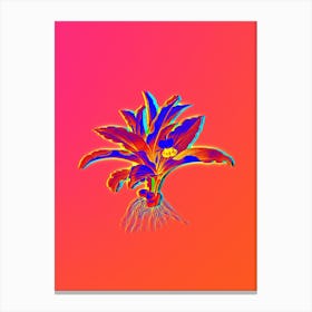 Neon Kaempferia Angustifolia Botanical in Hot Pink and Electric Blue n.0173 Canvas Print