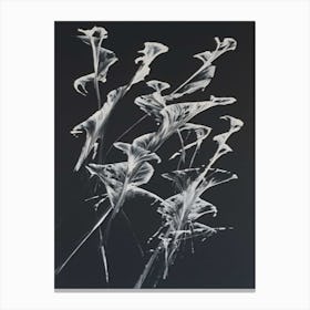 'Flora' Canvas Print