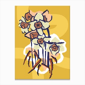Basking Daffodils Canvas Print