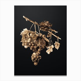 Gold Botanical Grape from Ischia on Wrought Iron Black n.2103 Canvas Print
