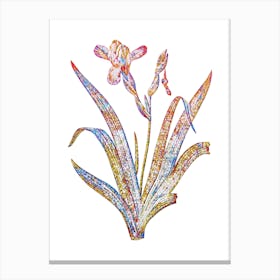 Stained Glass Hungarian Iris Mosaic Botanical Illustration on White n.0200 Canvas Print