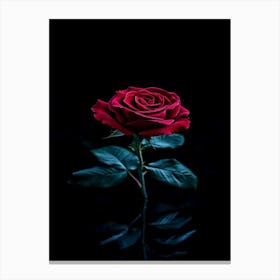 Red Rose On Black Background 12 Canvas Print