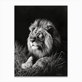 Barbary Lion Charcoal Drawing Night Hunt 1 Canvas Print