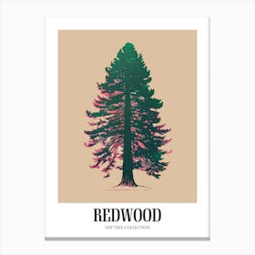 Redwood Tree Colourful Illustration 3 Poster Canvas Print