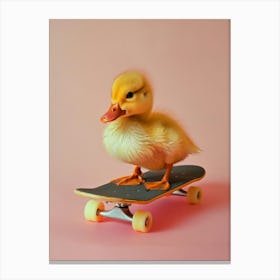 Duck On Skateboard Canvas Print