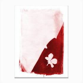 Lone Red Flower Canvas Print