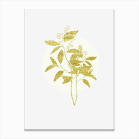 Gold Leaf 4 Canvas Print