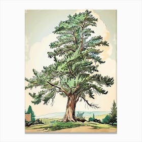 Cypress Tree Storybook Illustration 4 Canvas Print