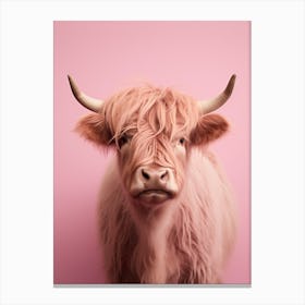 Pastel Pink Portrait Of Highland Cow 2 Canvas Print