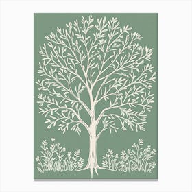 White Tree Canvas Print