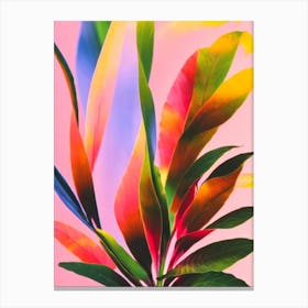 Bird’S Nest Fern Colourful Illustration Plant Canvas Print