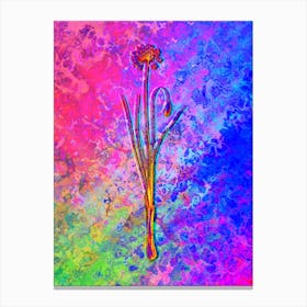 Autumn Onion Botanical in Acid Neon Pink Green and Blue Canvas Print