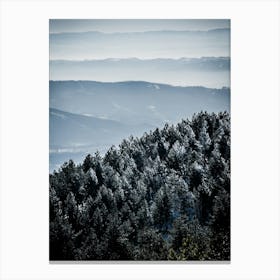 Winter In The Mountains Canvas Print