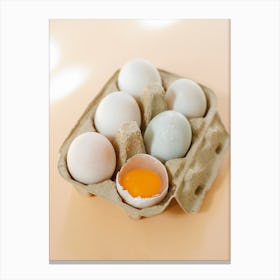 Eggs In Carton Canvas Print