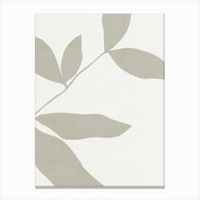 Gray Leaves 01 Canvas Print